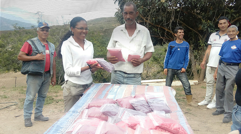 Produtores de la Gran Caracas reciben biofinanciamientos para producir semillas