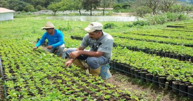Gobierno regional de Aragua fortalece la producción agrícola