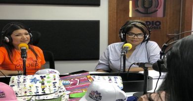 Expoferia del Plan Nacional de Parto Humanizado abrirá el 11 de julio