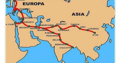 China fortalece cooperación con países de la Franja y la Ruta en lucha contra COVID-19