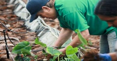 Plan Manos a la Siembra de Mis Abuelos beneficiará más de 5.000 adultos mayores en Miranda