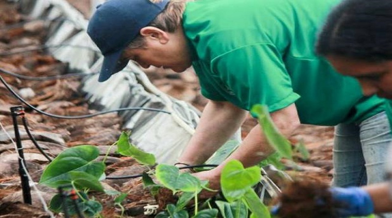 Plan Manos a la Siembra de Mis Abuelos beneficiará más de 5.000 adultos mayores en Miranda