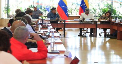 Gabinete Social diseña agenda en Julio para seguir protegiendo al pueblo ante nuevos ataques imperiales