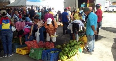 Más de 1500 familias del municipio Tulio Febres Cordero de Mérida se benefician con Feria del Campo Soberano