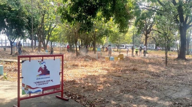 La alcaldesa del municipio Barinas dice que a pesar de la guerra económica aquí nadie se rinde