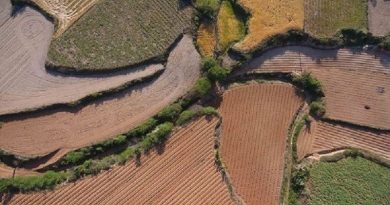 Desastres naturales afectan a más de 7 millones de personas en China