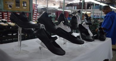 Verifican producción de cincuenta mil pares de zapatos en empresa productora del estado Carabobo