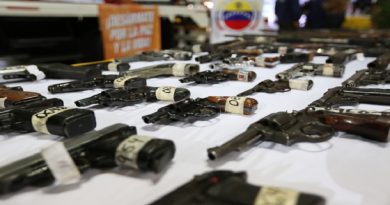 Inutilizadas en Caracas 12.921 armas de fuego para preservar la paz ciudadana