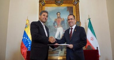 Embajador de Irán en Venezuela presenta copias de estilo ante Canciller Arreaza