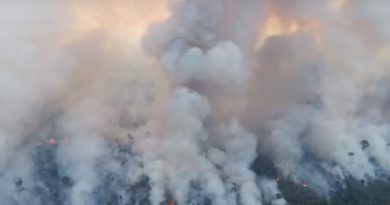 Revelan que focos de incendio en Brasil crecieron un 85 % este año