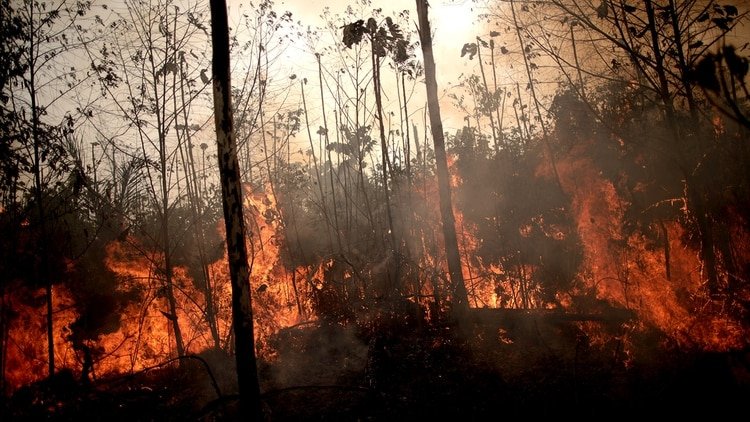 Brasil rechaza 20 millones de dólares ofrecido por G7 para combatir incendios en Amazonía