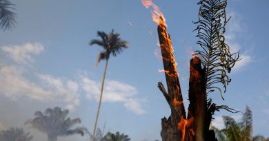 En dos días 1.663 nuevos focos de incendios aparecieron en Brasil