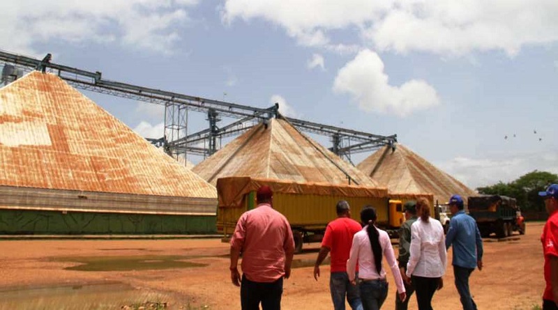 Sunagro inicia Plan de Actualización de Inventarios en el territorio nacional