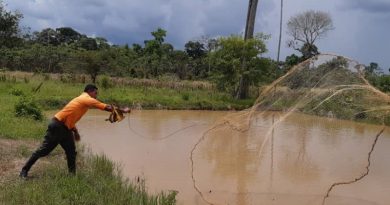 Lagunas de Cachama en Apure combaten bloqueo criminal de Trump y la derecha (Foto Minppau)