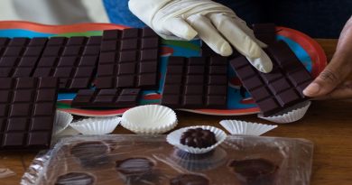 Gobierno de Miranda quiere certificar el Carenero como el mejor cacao del país