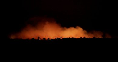 Venezuela ratifica convocatoria a reunión de la OTCA ante crecientes incendios en la Amazonía