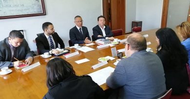 Venezuela y México acuerdan elevar nivel de intercambio cultural
