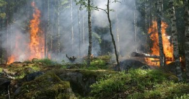 Incendios forestales en el Amazonas se encuentran con fuegos activos en varios lugares de la selva amazónica