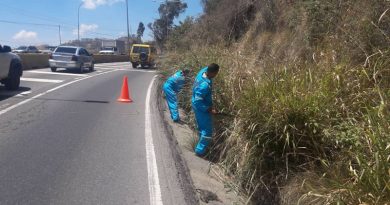 Comenzó segunda fase de embellecimiento de aceras en la Panamericana