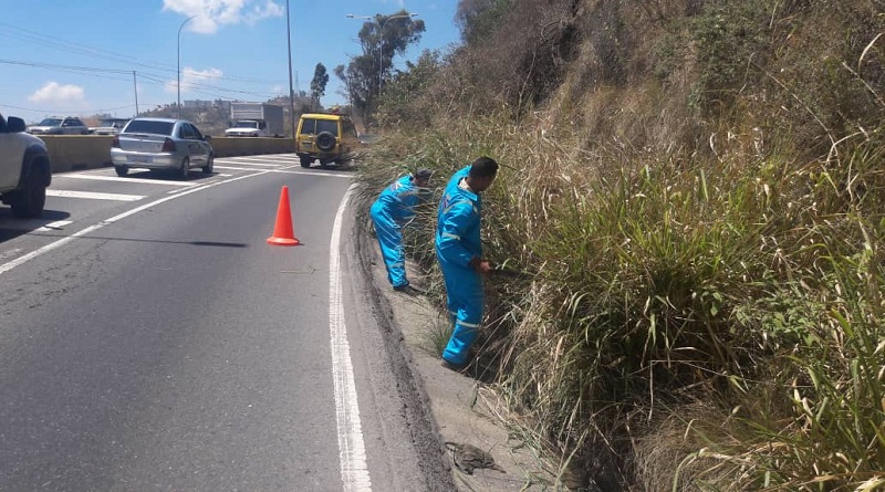 Comenzó segunda fase de embellecimiento de aceras en la Panamericana