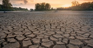 Advierten que el mundo sufrirá de mayor sequía y aridez extremas