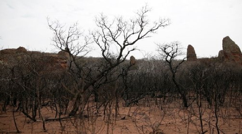 Disminuyen focos activos de incendios en la Amazonía boliviana de 8.000 a 753
