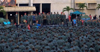 CEOFANB reitera combate a diario de grupos armados colombianos en frontera