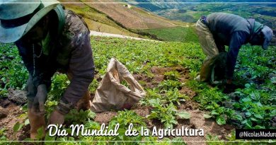 Jefe de Estado reconoce labor de productores del campo en Día Mundial de la Agricultura