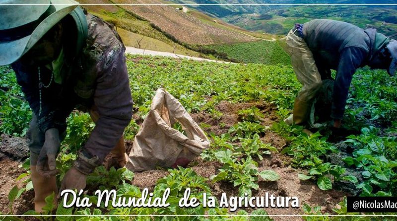 Jefe de Estado reconoce labor de productores del campo en Día Mundial de la Agricultura