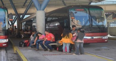 Más de 5 mil usuarios se movilizan por Trolebús Mérida