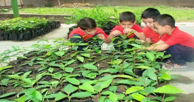 Gobierno Bolivariano reimpulsa la siembra en las instituciones educativas en el año escolar 2019-2020 en Lara