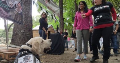 Misión Nevado realiza encuentro temático dedicado al respeto de mascotas en Caracas