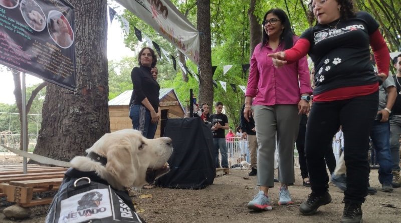 Misión Nevado realiza encuentro temático dedicado al respeto de mascotas en Caracas