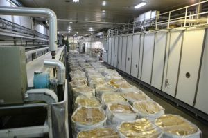 Presidente Maduro lideró jornada de trabajo productivo