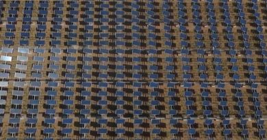 En China afinan detalles del Foro internacional sobre energía