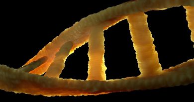 Descubren molécula capaz de destruir células cancerígenas