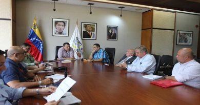 Primera ronda de negocios para el reimpulso de importaciones del sector automotriz