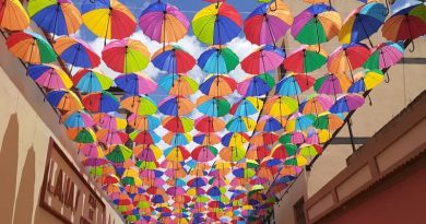 Relanzan paraguas flotantes para promover el turísmo en municipio Guaicaipuro en Miranda