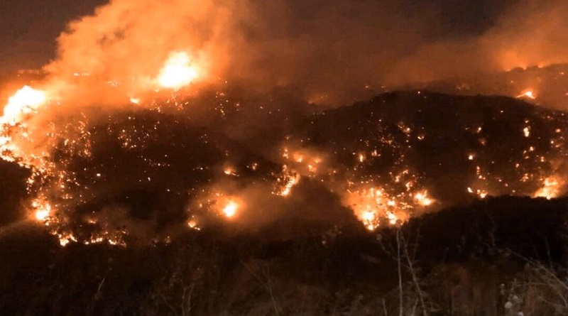 Un fallecido y 5 heridos en Líbano por fuertes incendios forestales