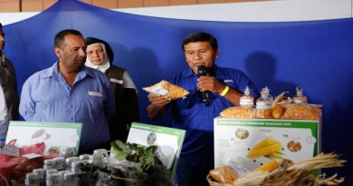 Más de dos mil campesinos cultivan con éxito semillas de maíz en Valle de Guanape de Anzoátegui