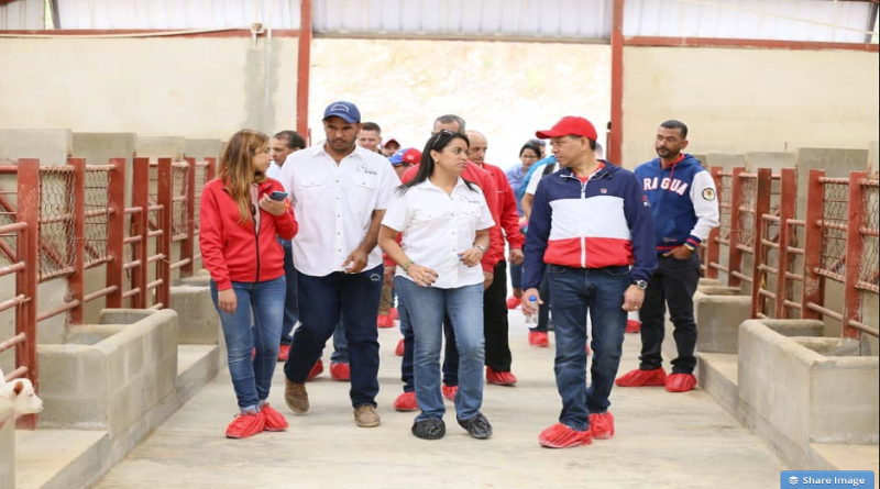 Banco de Venezuela apuesta al desarrollo sector caprino en el país