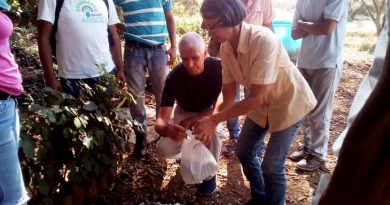 Venezuela cuenta con capacidad para producir 1.900.000 árboles