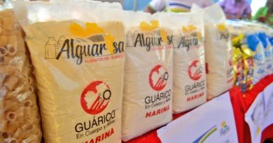 Cosecharán en Guárico más de 122 mil hectáreas de arroz, maíz y sorgo este año