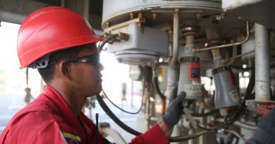 Culmina conexión de pozos de Petrodelta al Sistema Eléctrico Nacional