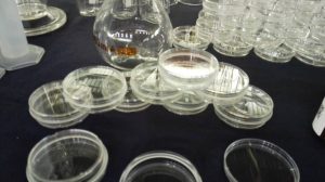 Dotación de insumos a los laboratorios de docencia e investigación de la Unerg