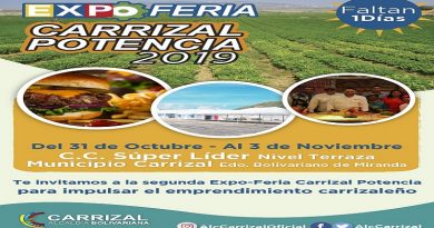 Carrizal se prepara para la II Expoferia Potencia 2019