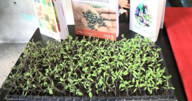 Congreso Venezolano de Agroecología presenta experiencias de producción para promover seguridad alimentaria