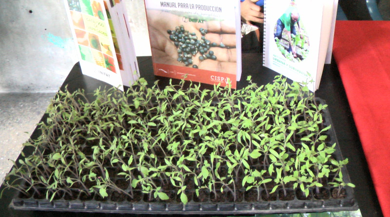 Congreso Venezolano de Agroecología presenta experiencias de producción para promover seguridad alimentaria