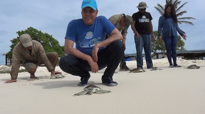 Minec liberó 40 tortugas en el Archipiélago Los Roques