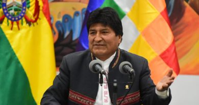 Presidente de Bolivia Misión de la OEA está con el golpe de Estado